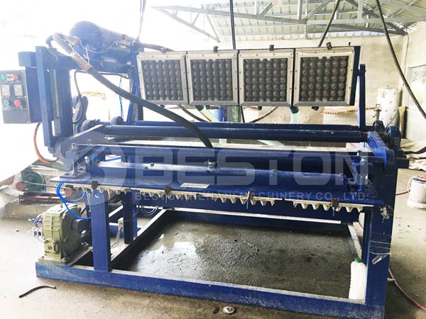 1500pcs Egg Tray Machine in Philippines